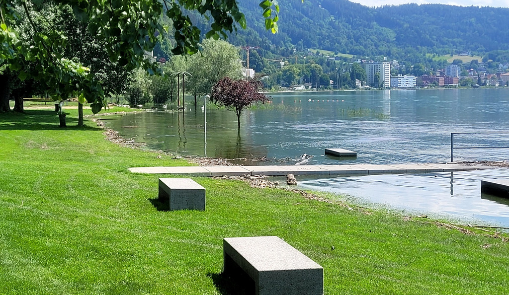 See HOCHSTAND VOL am 05-06-2024 _30_.jpg