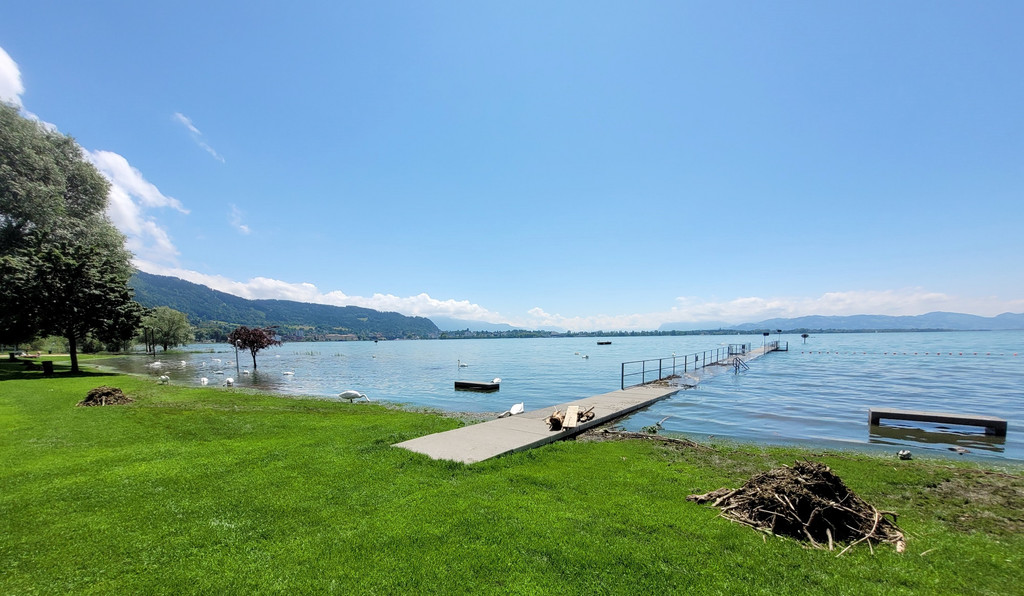 See HOCHSTAND VOL am 05-06-2024 _32_.jpg