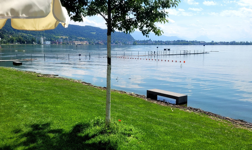 See HOCHSTAND VOL am 05-06-2024 _36_.jpg