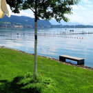 See HOCHSTAND VOL am 05-06-2024 _36_.jpg