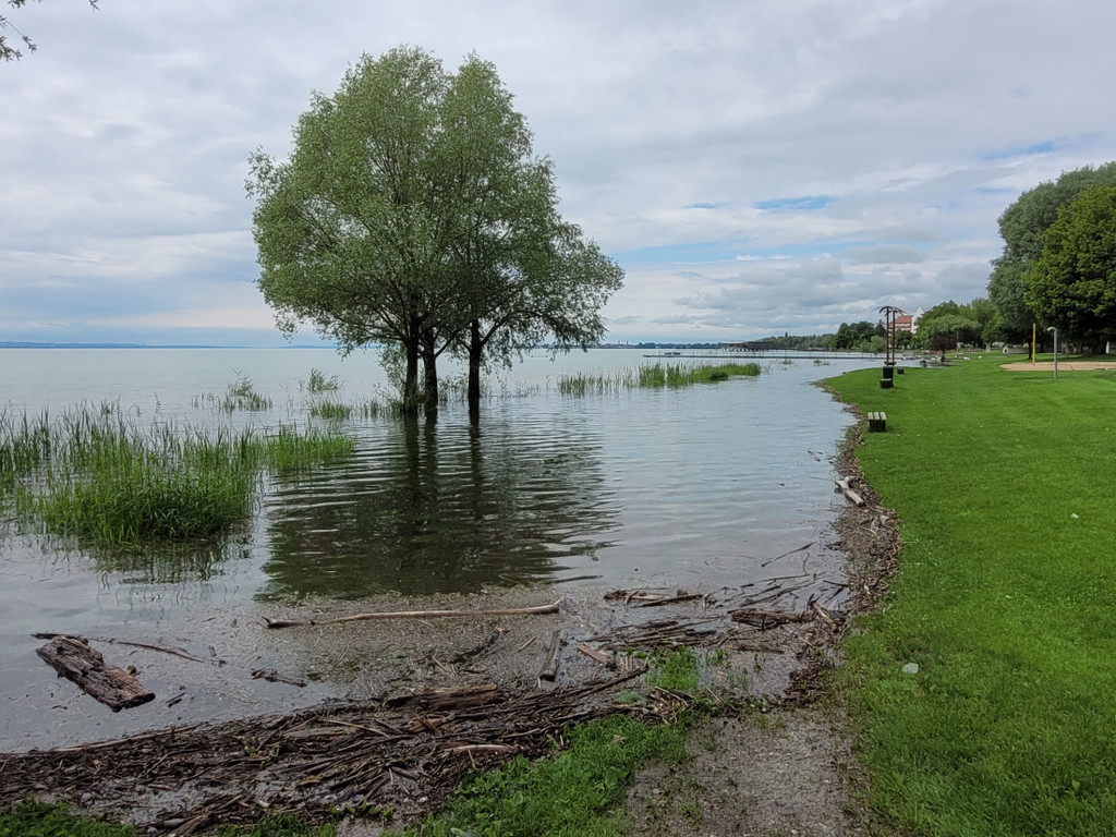 See HOCHSTAND VOL am 05-06-2024 _37_.jpg