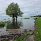 See HOCHSTAND VOL am 05-06-2024 _37_.jpg