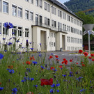 „Bludenz 2024“ nimmt die Natur in der Stadt genau unter die Lupe