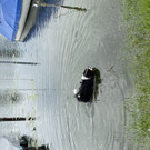 image00013.jpeg