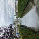 image00003.jpeg