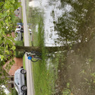image00008.jpeg