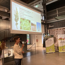 Gebetene und ungebetene Gäste in unseren Gärten und in der Natur