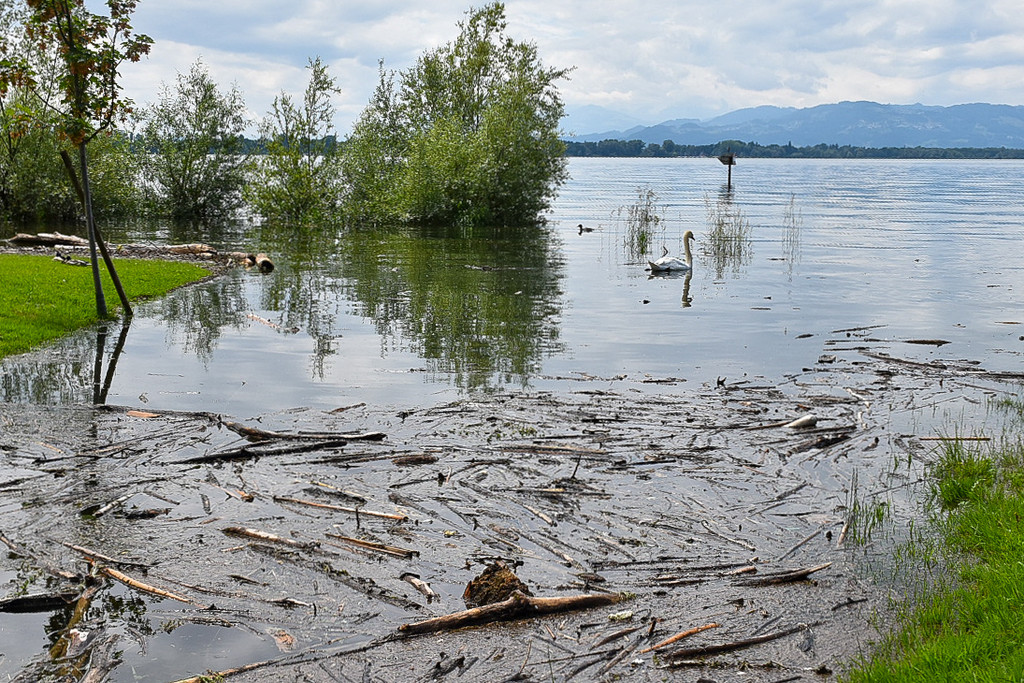 20240610_Hochwasser_Bodensee-10.jpg
