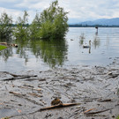 20240610_Hochwasser_Bodensee-10.jpg
