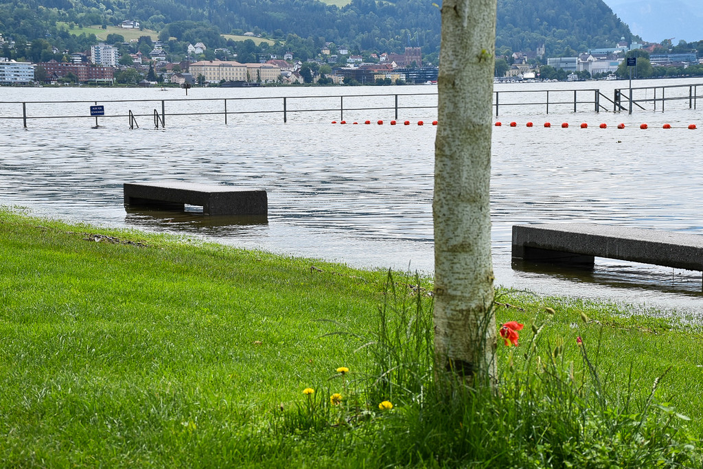 20240610_Hochwasser_Bodensee-20.jpg