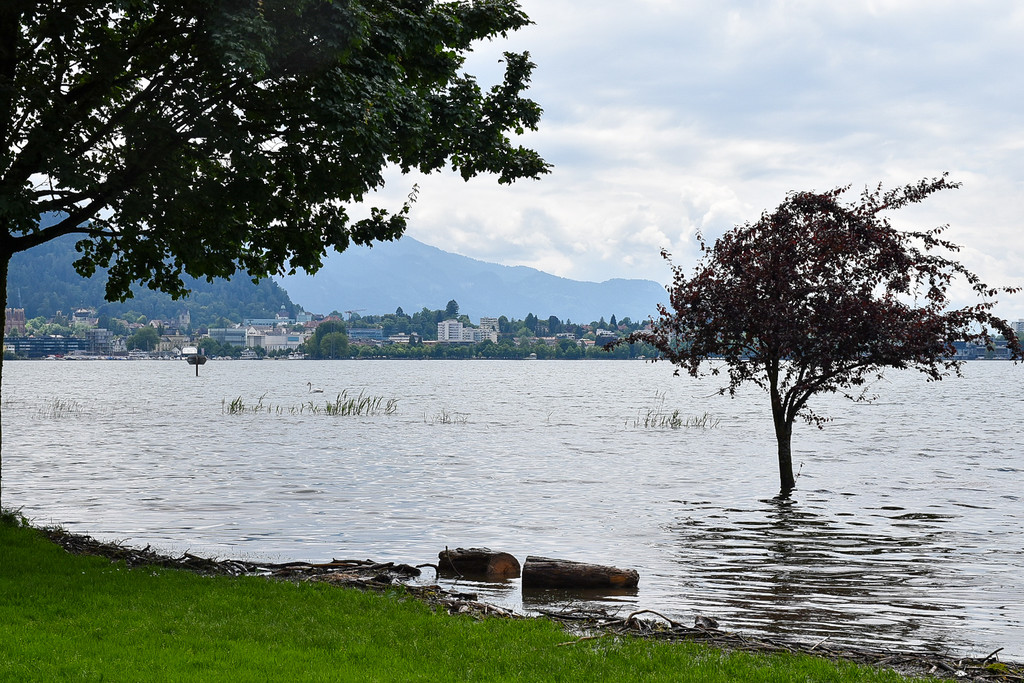 20240610_Hochwasser_Bodensee-27.jpg