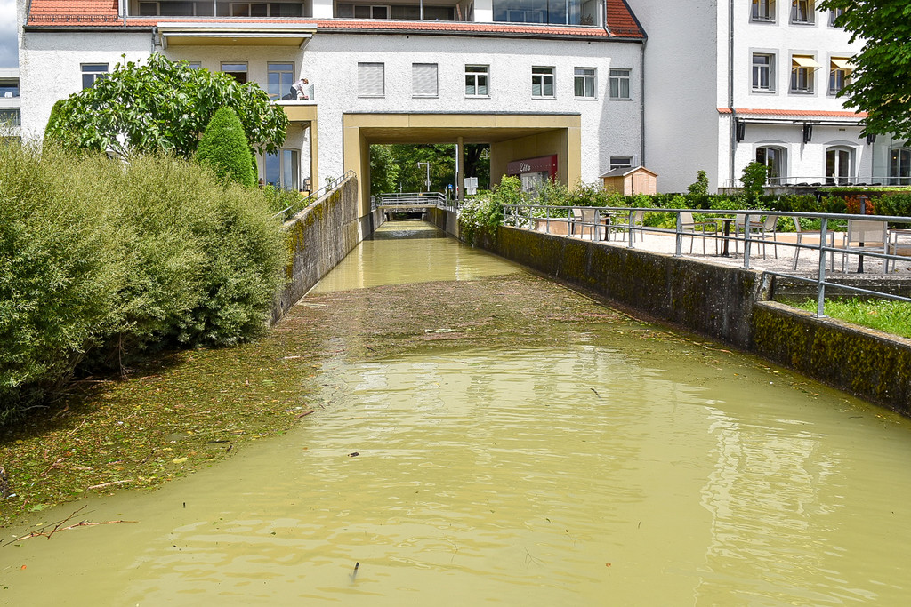 20240610_Hochwasser_Bodensee-49.jpg