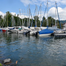 20240610_Hochwasser_Bodensee-59.jpg