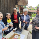 Grillen oo8.jpg