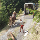 Nachhaltige Forstwirtschaft in Bludenz