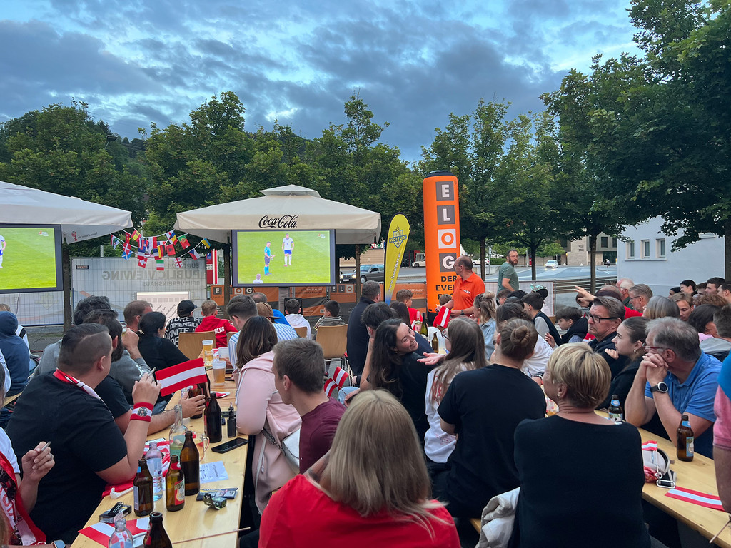 publicviewing1.jpg
