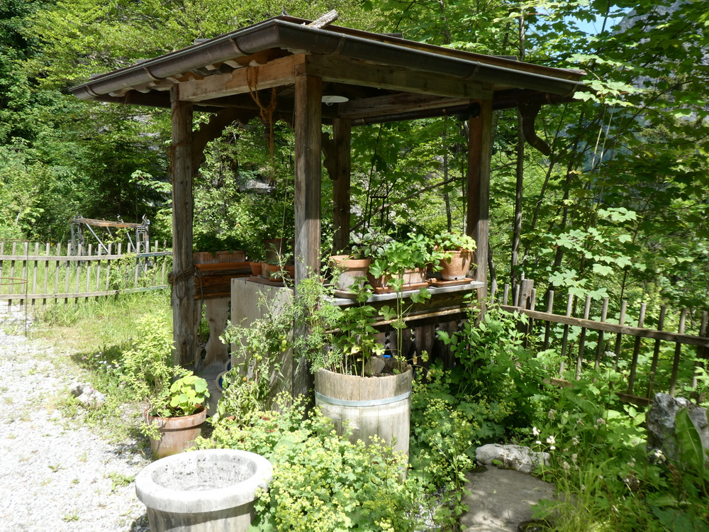 P1030494.JPG