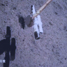 China_Space_97457.jpg