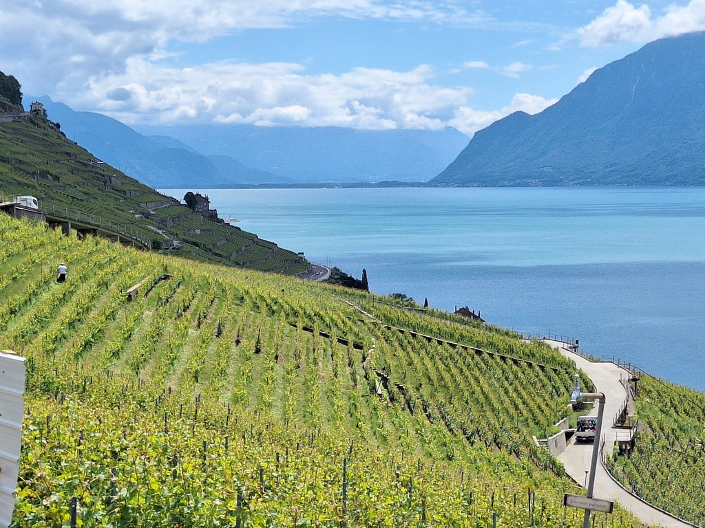 Lavaux am Lac Leman.JPG