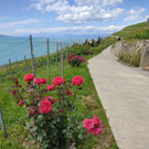 Lavaux Weltkulturerbe.JPG