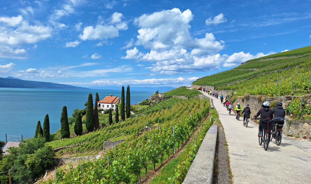 Mitdabei mitten im Lavaux.JPG