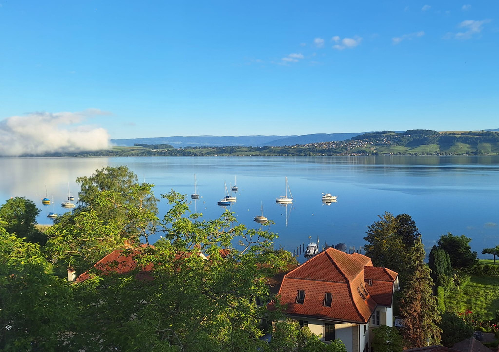 Murten am Morgen.JPG
