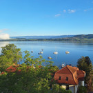 Murten am Morgen.JPG