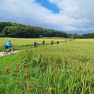 Natur pur.JPG