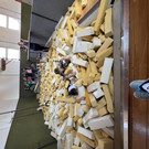 Die 2p beim Schaumgummiwettrennen.jpeg