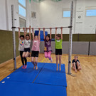 Turnen am Reck mit der TS Widum.jpg