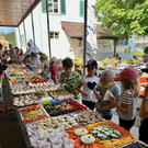 IMG_6658.jpg
