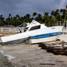 AFP_36239EQ.jpg