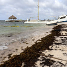 AFP_3624442.jpg