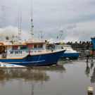 AFP_36246UQ.jpg