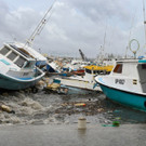 AFP_36246UU.jpg