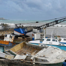 AFP_36246UW.jpg