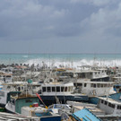 AFP_36246UX.jpg