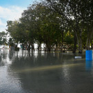 AFP_36246VU.jpg