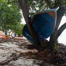 AFP_36246W8.jpg