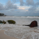 AFP_36246WA.jpg