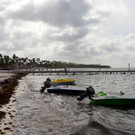 AFP_36292U3.jpg