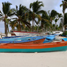 AFP_36292U4.jpg