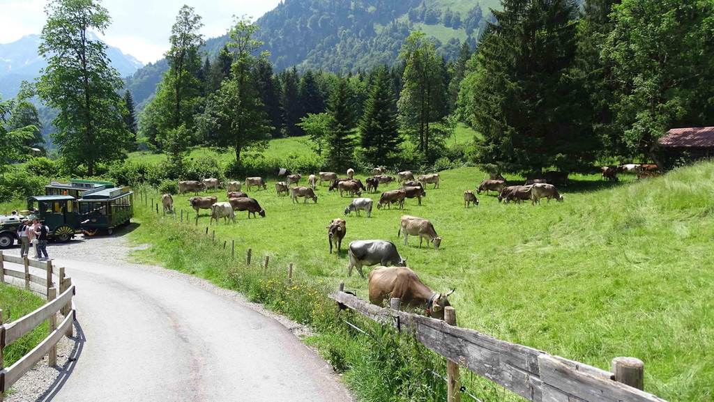 Natur.jpg