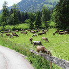 Natur.jpg