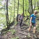 Verein VORARLBERG 50plus Mittwoch-Wanderung zur "Unteren Brüggele-Alp