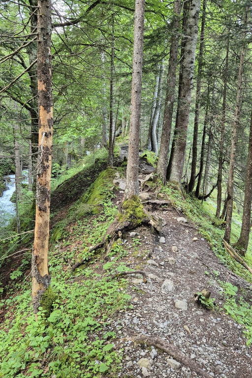 03_ Bru__ggele Alp.JPG