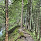 03_ Bru__ggele Alp.JPG