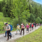 10_ Bru__ggele Alp.JPG