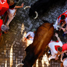 2024-07-08T062826Z_2015443374_RC2TQ8A81OVN_RTRMADP_3_SPAIN-CULTURE-BULLS.JPG