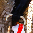2024-07-08T063625Z_740666517_RC2TQ8A5MLD0_RTRMADP_3_SPAIN-CULTURE-BULLS.JPG